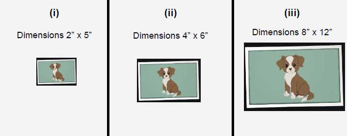 Ratios, Proportions And Rates Activity